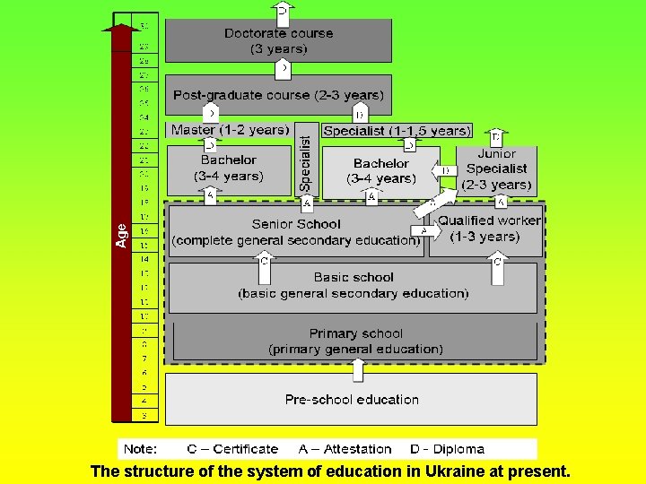 The structure of the system of education in Ukraine at present. 