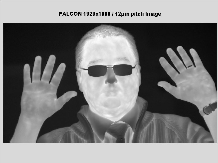 FALCON 1920 x 1080 / 12µm pitch Image 