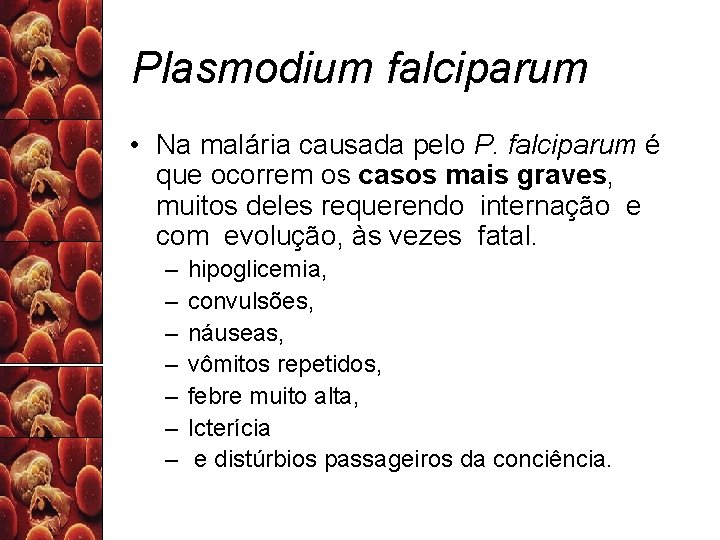 Plasmodium falciparum • Na malária causada pelo P. falciparum é que ocorrem os casos