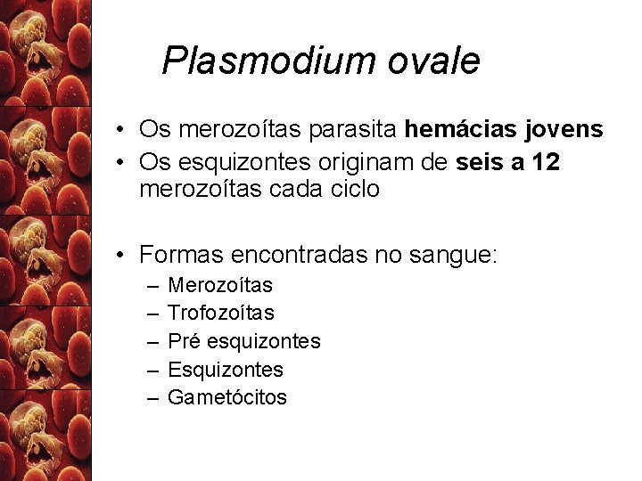 Plasmodium ovale • Os merozoítas parasita hemácias jovens • Os esquizontes originam de seis
