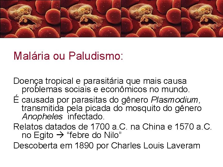 Malária ou Paludismo: Doença tropical e parasitária que mais causa problemas sociais e econômicos