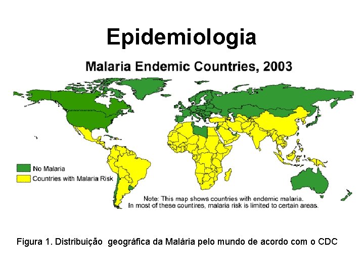 Epidemiologia Figura 1. Distribuição geográfica da Malária pelo mundo de acordo com o CDC