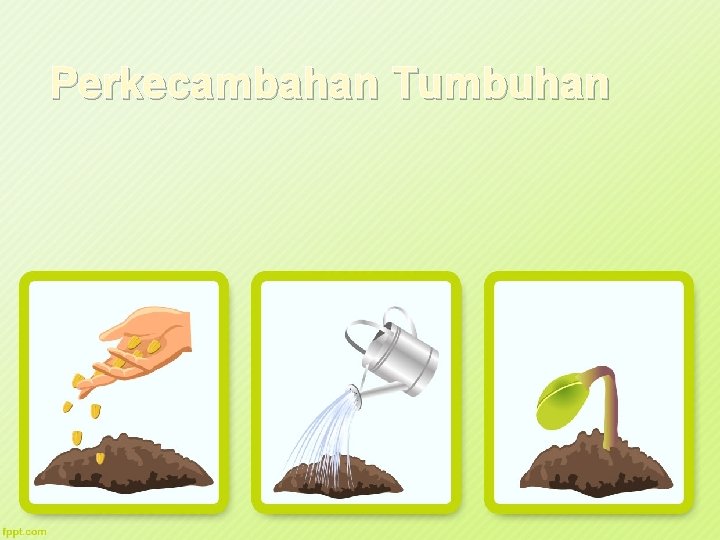 Perkecambahan Tumbuhan L/O/G/O 