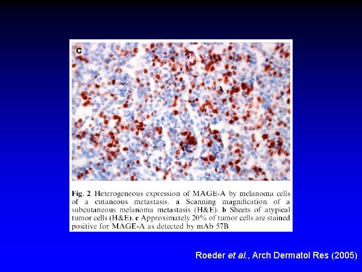 Roeder et al. , Arch Dermatol Res (2005) 