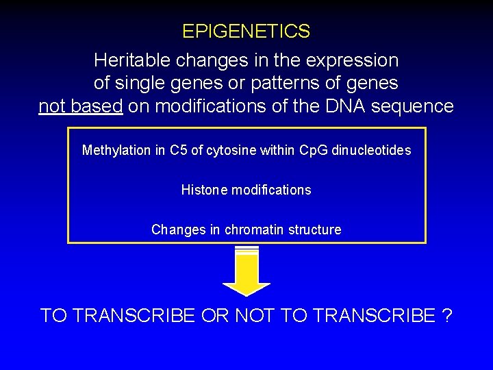 EPIGENETICS Heritable changes in the expression of single genes or patterns of genes not