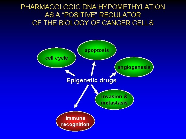 PHARMACOLOGIC DNA HYPOMETHYLATION AS A “POSITIVE” REGULATOR OF THE BIOLOGY OF CANCER CELLS apoptosis