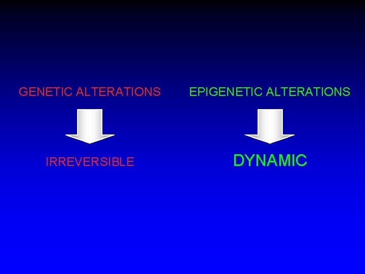 GENETIC ALTERATIONS EPIGENETIC ALTERATIONS IRREVERSIBLE DYNAMIC 