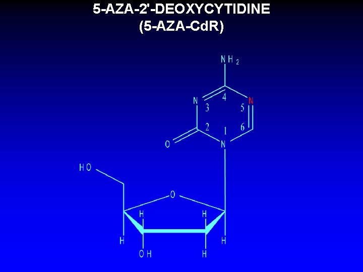 5 -AZA-2'-DEOXYCYTIDINE (5 -AZA-Cd. R) 