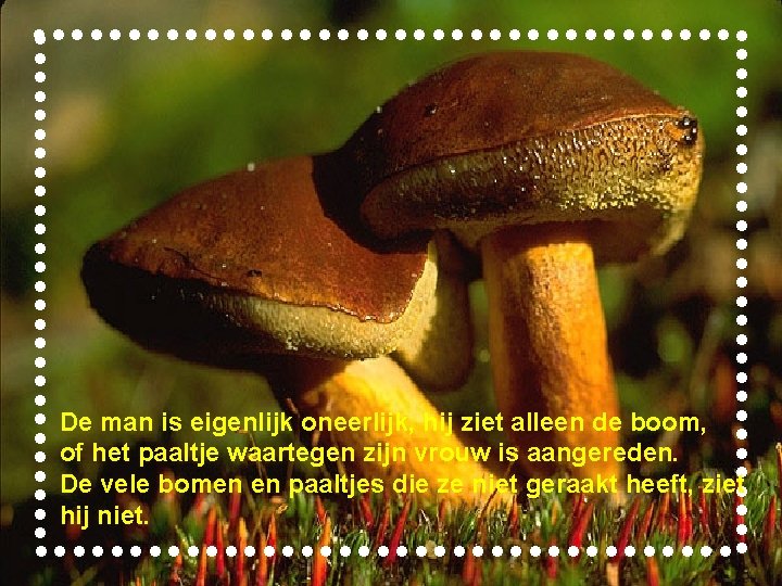 De man is eigenlijk oneerlijk, hij ziet alleen de boom, of het paaltje waartegen