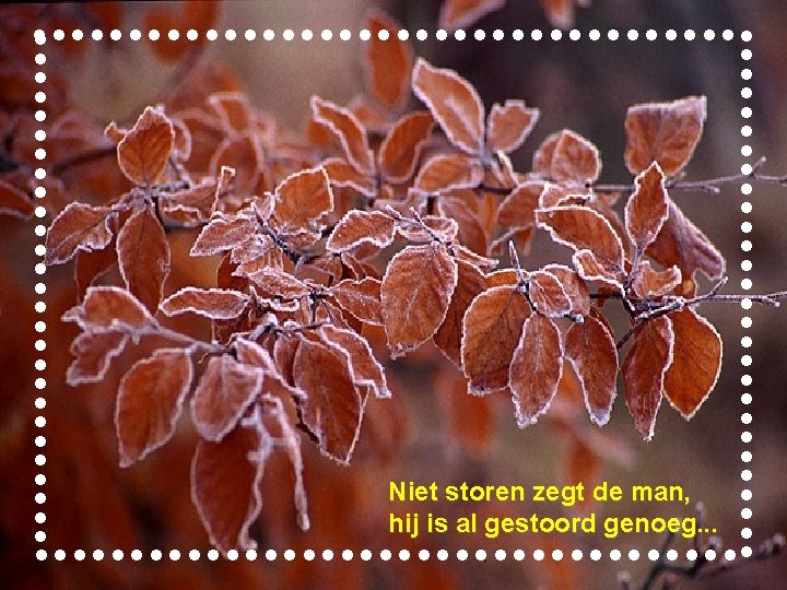 Niet storen zegt de man, hij is al gestoord genoeg. . . 