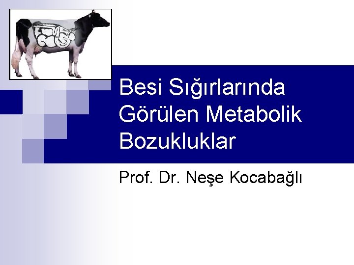 Besi Sığırlarında Görülen Metabolik Bozukluklar Prof. Dr. Neşe Kocabağlı 