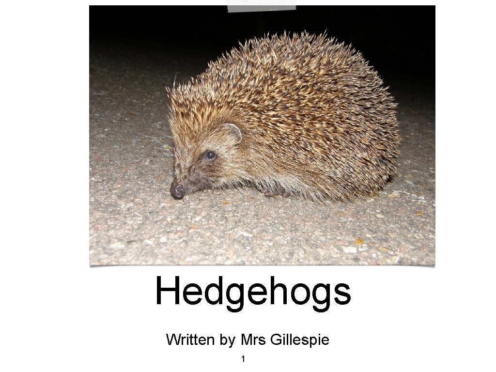 Hedgehogs Written by Mrs Gillespie 1 