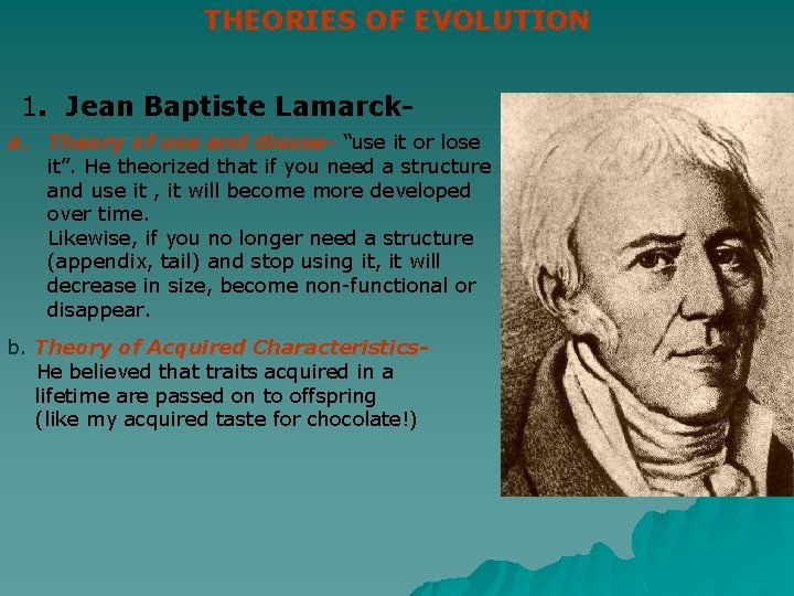 THEORIES OF EVOLUTION 1. Jean Baptiste Lamarcka. Theory of use and disuse- “use it