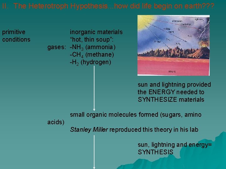 II. The Heterotroph Hypothesis. . . how did life begin on earth? ? ?