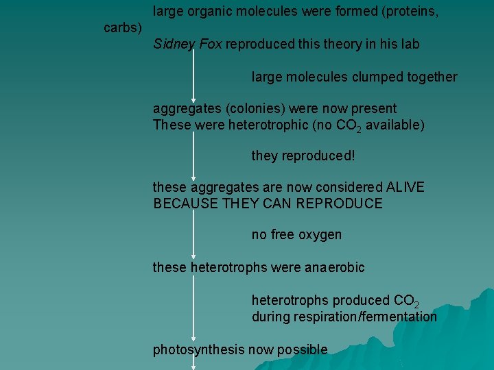 large organic molecules were formed (proteins, carbs) Sidney Fox reproduced this theory in his