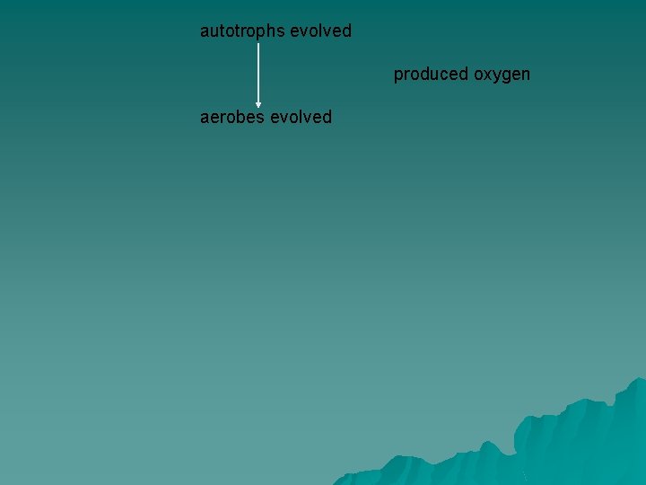 autotrophs evolved produced oxygen aerobes evolved 