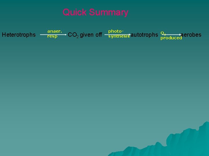 Quick Summary Heterotrophs anaer. resp CO 2 given off photo. O 2 synthesis autotrophs