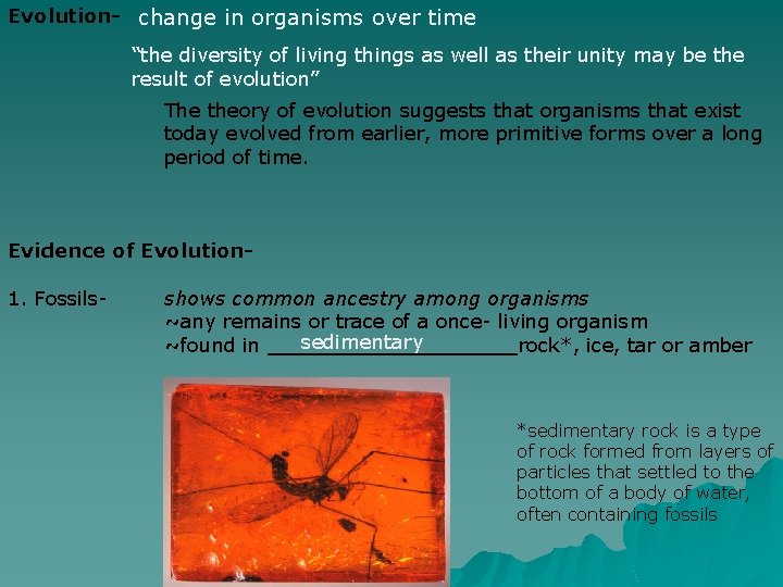 Evolution- change in organisms over time “the diversity of living things as well as