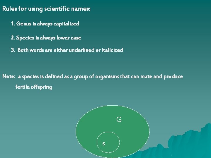 Rules for using scientific names: 1. Genus is always capitalized 2. Species is always