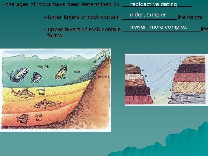 ~the ages of rocks have been determined by __________ radioactive dating older, simpler ~lower