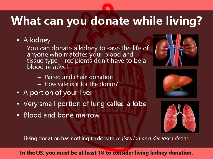 What can you donate while living? • A kidney You can donate a kidney