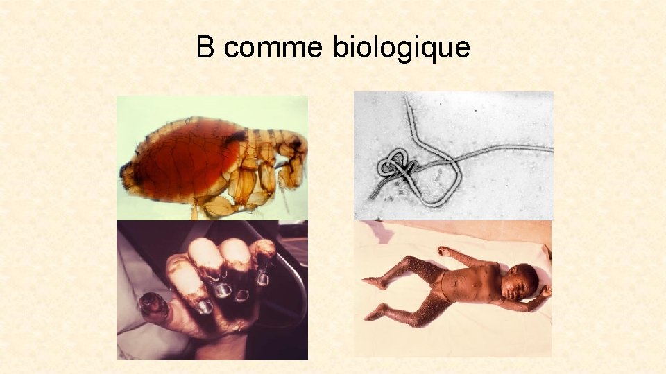 B comme biologique 