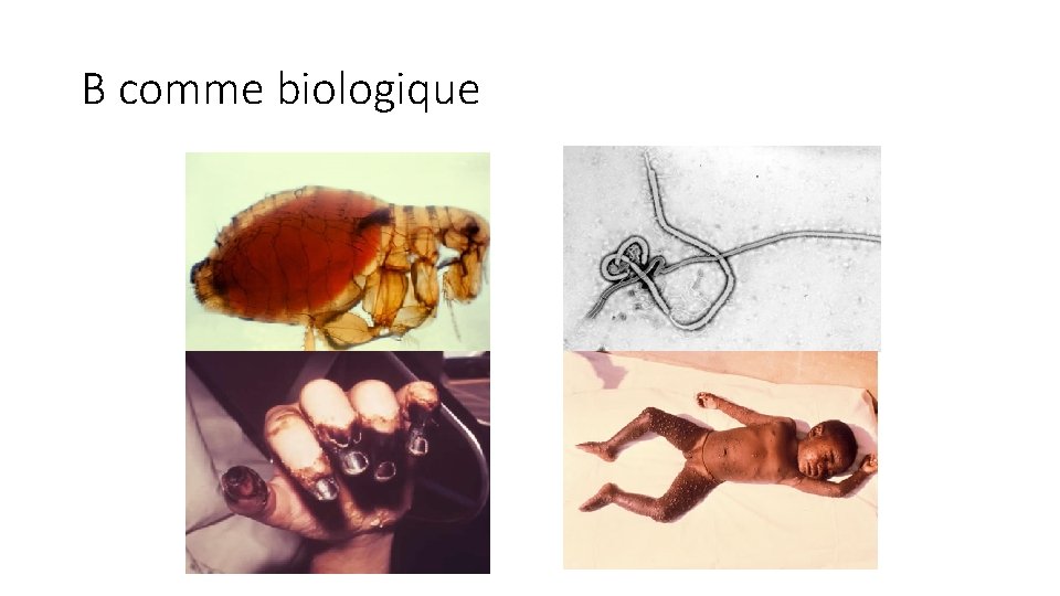 B comme biologique 
