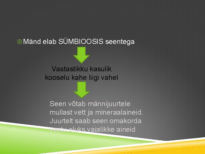  Mänd elab SÜMBIOOSIS seentega Vastastikku kasulik kooselu kahe liigi vahel Seen võtab männijuurtele