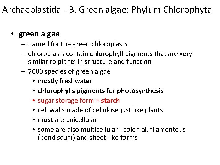 Archaeplastida - B. Green algae: Phylum Chlorophyta • green algae – named for the