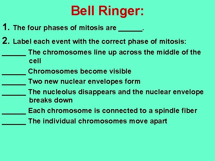 Bell Ringer: 1. The four phases of mitosis are ______. 2. Label each event