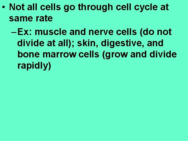  • Not all cells go through cell cycle at same rate – Ex: