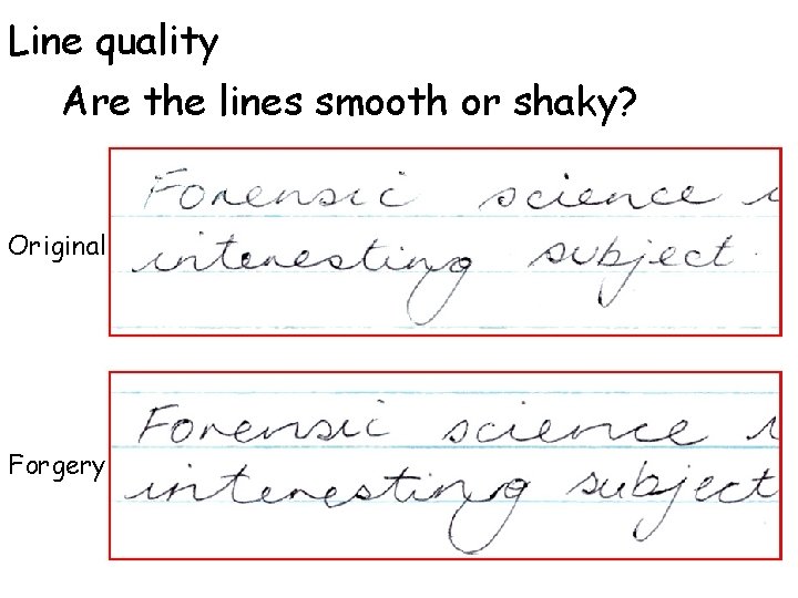 Line quality Are the lines smooth or shaky? Original Forgery 