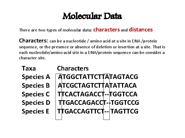 Molecular Data There are two types of molecular data: characters and distances Characters: can