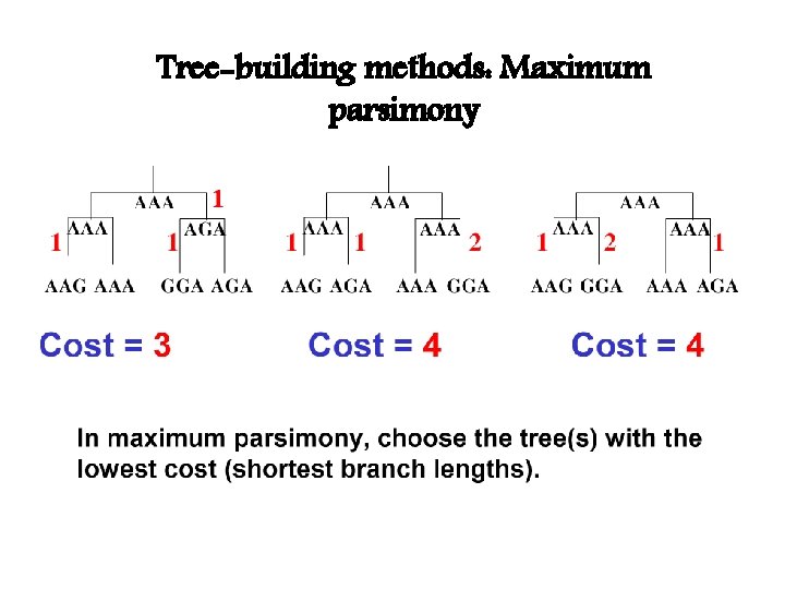 Tree-building methods: Maximum parsimony 