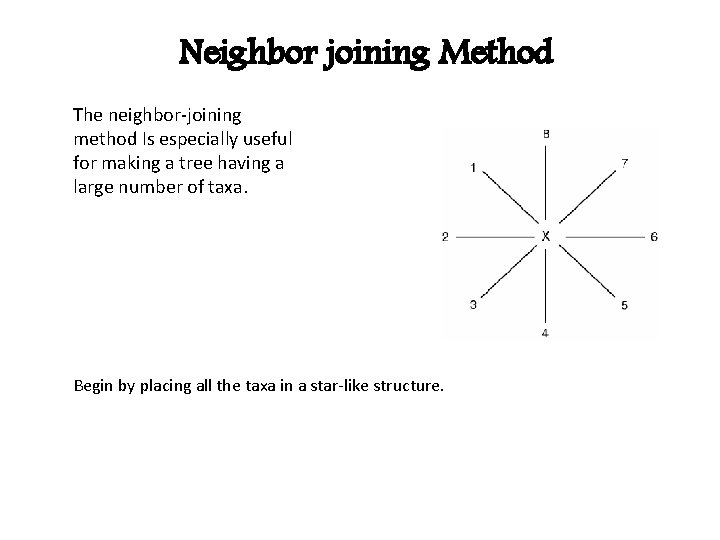 Neighbor joining Method The neighbor-joining method Is especially useful for making a tree having