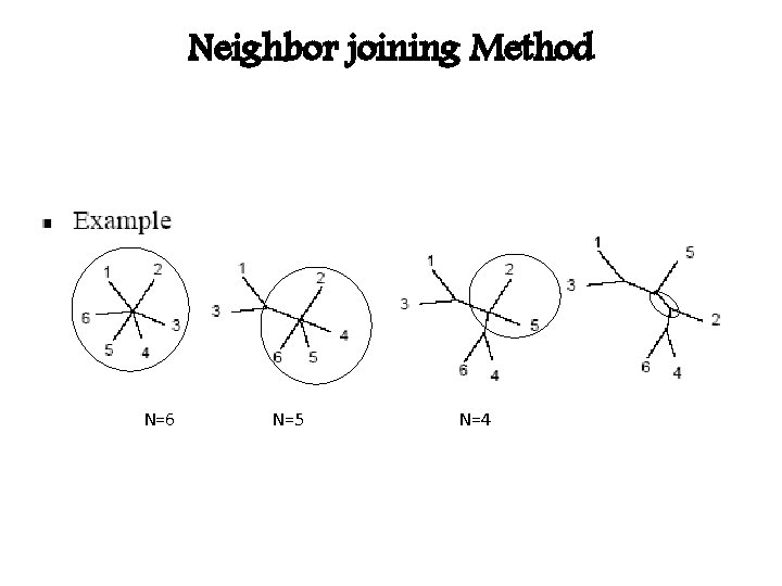 Neighbor joining Method N=6 N=5 N=4 