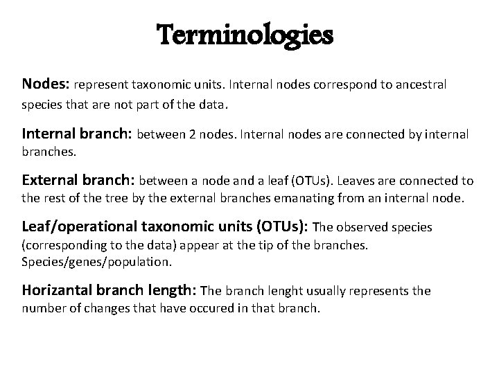 Terminologies Nodes: represent taxonomic units. Internal nodes correspond to ancestral species that are not