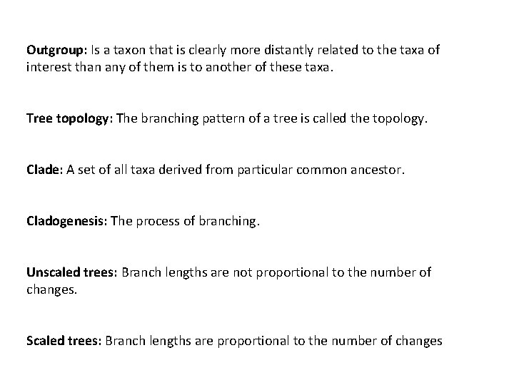 Outgroup: Is a taxon that is clearly more distantly related to the taxa of