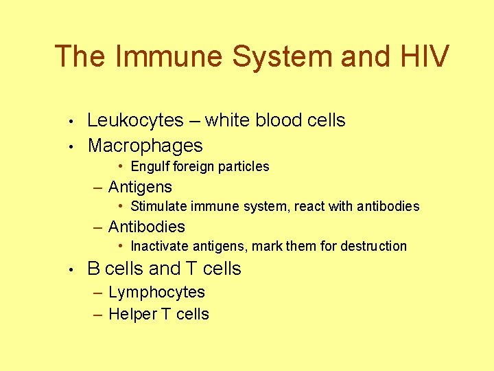 The Immune System and HIV • • Leukocytes – white blood cells Macrophages •