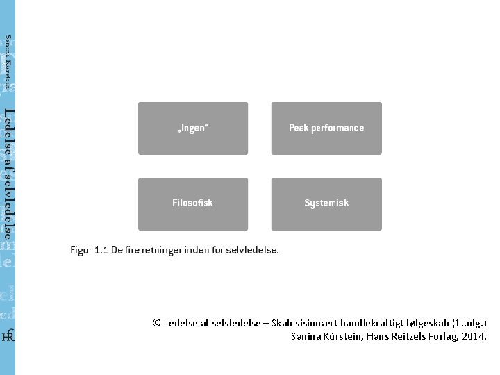 © Ledelse af selvledelse – Skab visionært handlekraftigt følgeskab (1. udg. ) Sanina Kürstein,