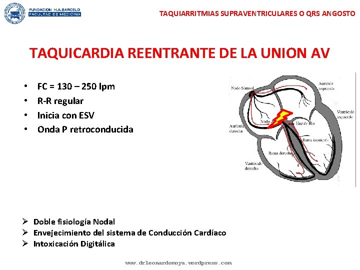 TAQUIARRITMIAS SUPRAVENTRICULARES O QRS ANGOSTO TAQUICARDIA REENTRANTE DE LA UNION AV • • FC TAQUIARRITMIAS SUPRAVENTRICULARES O QRS ANGOSTO TAQUICARDIA REENTRANTE DE LA UNION AV • • FC
