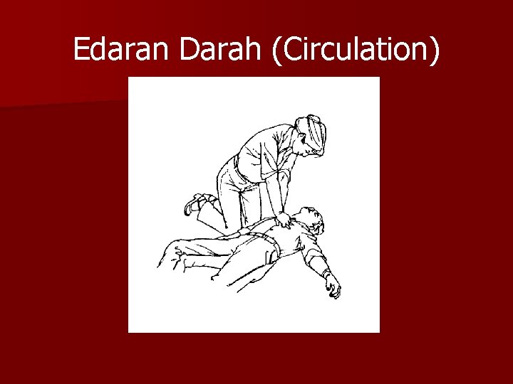 Edaran Darah (Circulation) 