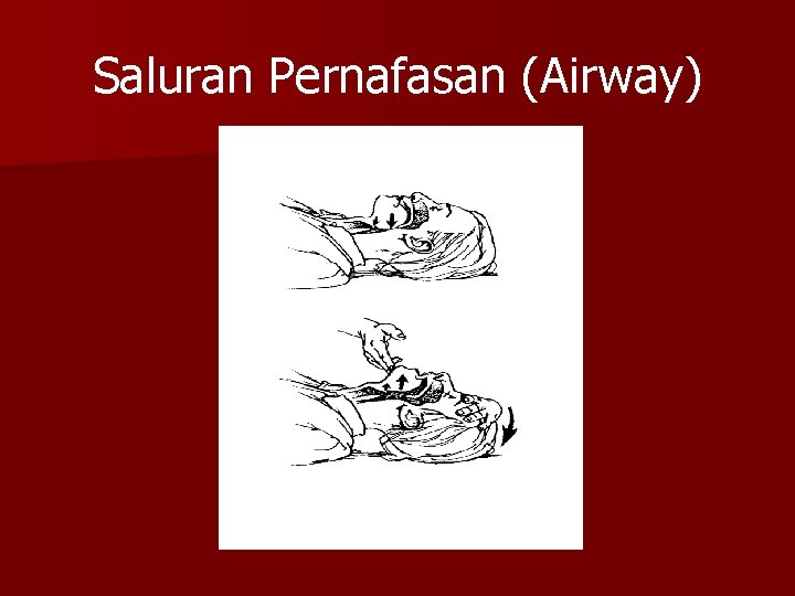 Saluran Pernafasan (Airway) 