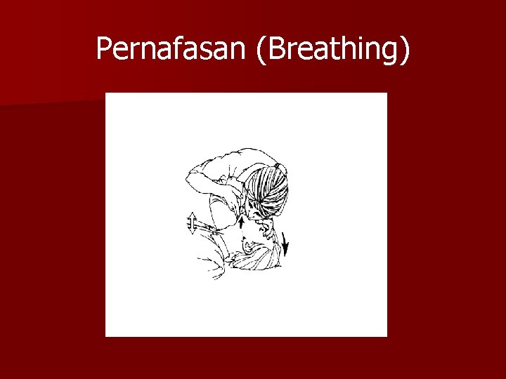 Pernafasan (Breathing) 