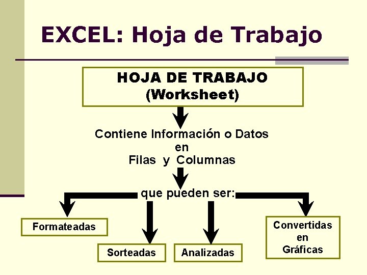 EXCEL: Hoja de Trabajo HOJA DE TRABAJO (Worksheet) Contiene Información o Datos en Filas