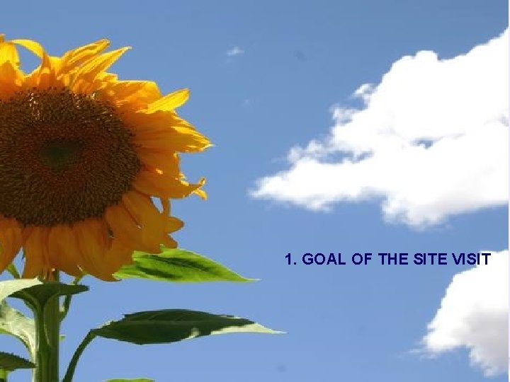 1. GOAL OF THE SITE VISIT 