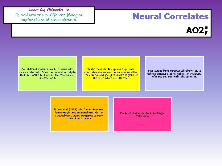 Learning Objective 3; To evaluate the 3 different biological explanations of schizophrenia. Correlational evidence