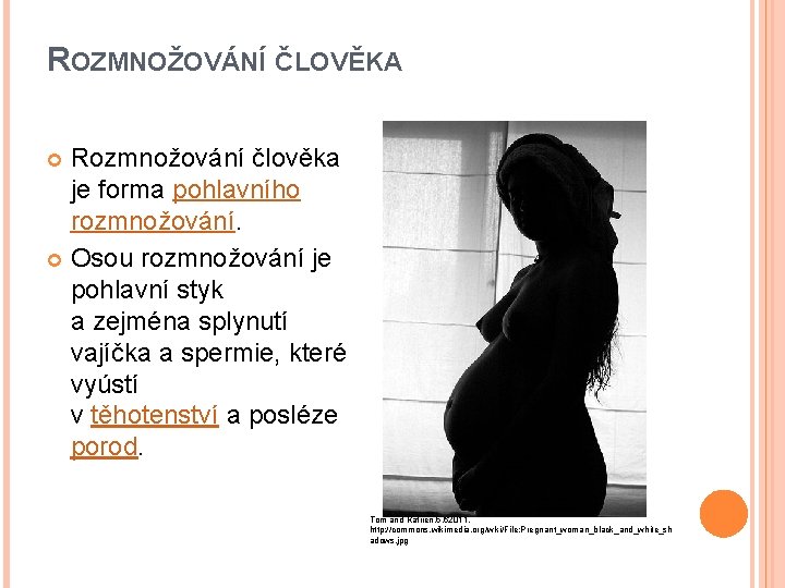 ROZMNOŽOVÁNÍ ČLOVĚKA Rozmnožování člověka je forma pohlavního rozmnožování. Osou rozmnožování je pohlavní styk a