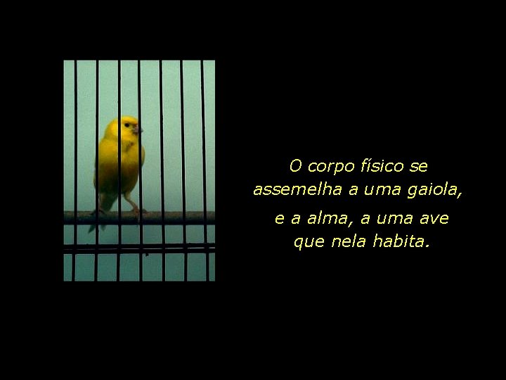 O corpo físico se assemelha a uma gaiola, e a alma, a uma ave