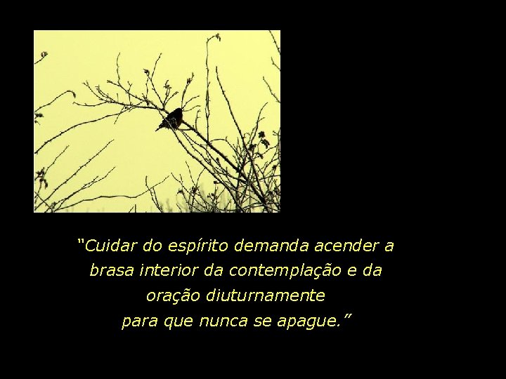 “Cuidar do espírito demanda acender a brasa interior da contemplação e da oração diuturnamente